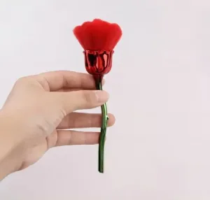 מברשת לניקוי אבק מהציפורניים